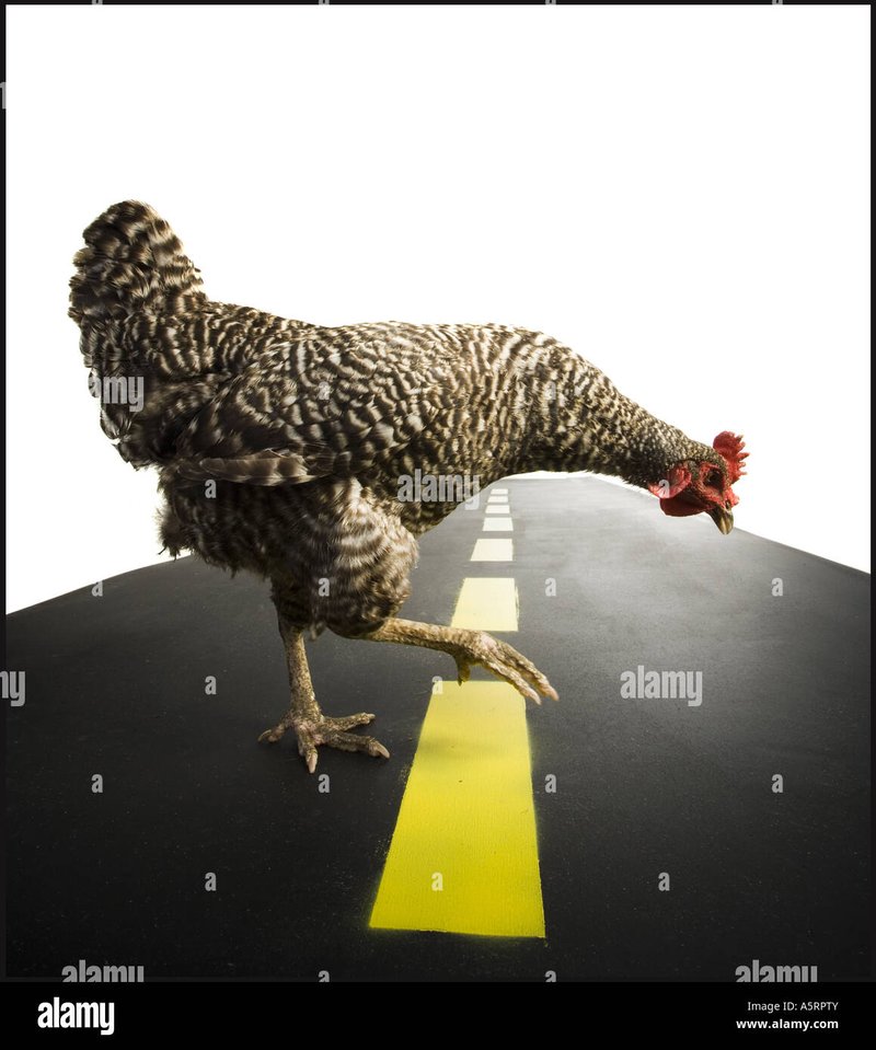 Chicken road spel in Netherlands